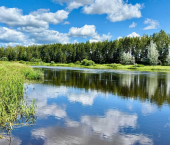 земля 30 сот 