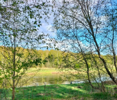 земля 100 сот Банная ул