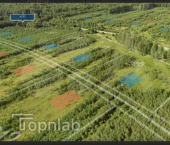 земля 100 сот Соломино д