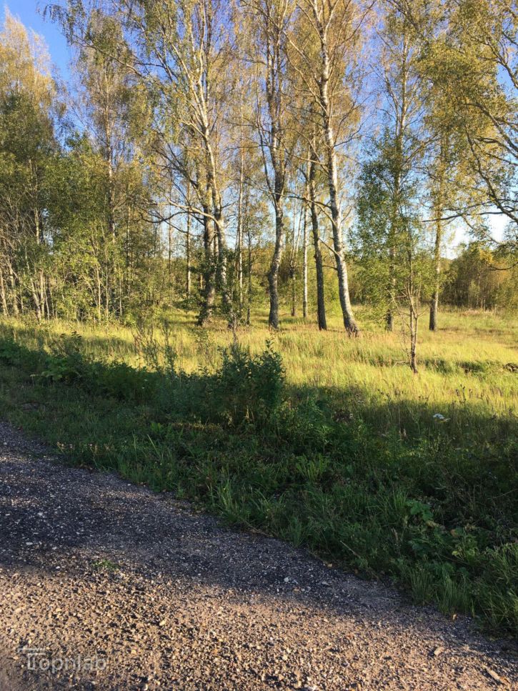 Земельный участок Соломино д