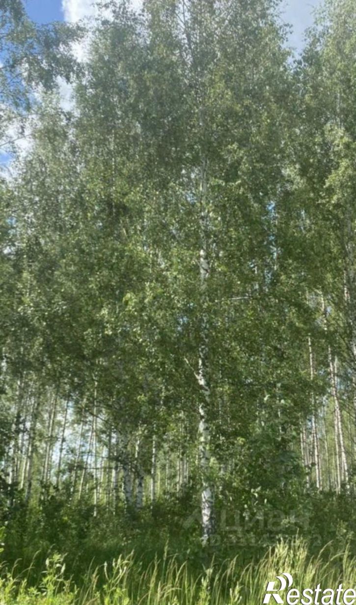 Земельный участок Центральная аллея