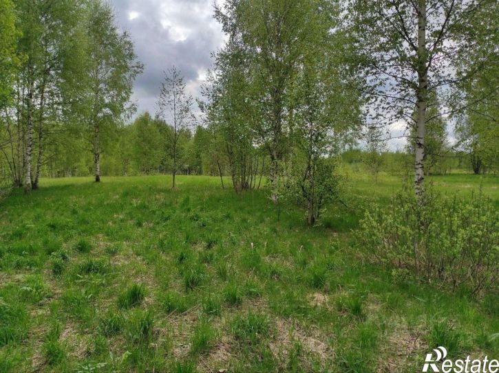 Земельный участок