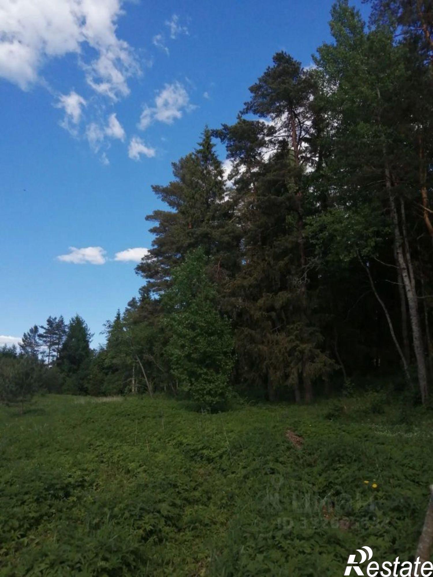 Купить землю, земельный участок за 1 250 000 рублей