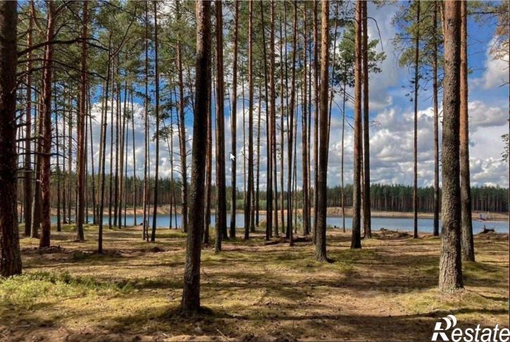 Земельный участок 10-й Дубовый переулок
