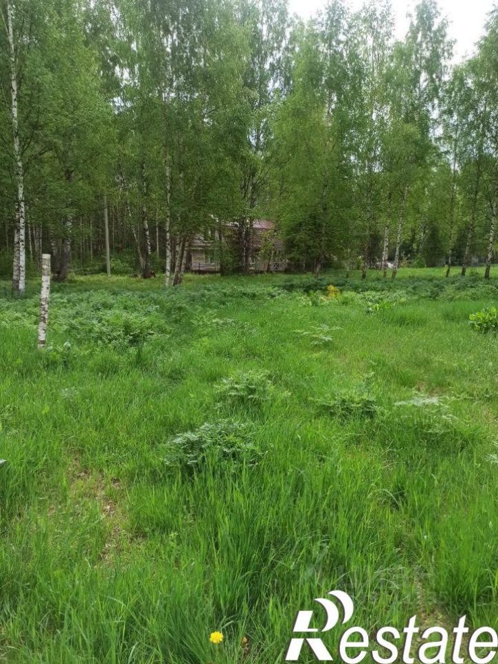 Земельный участок