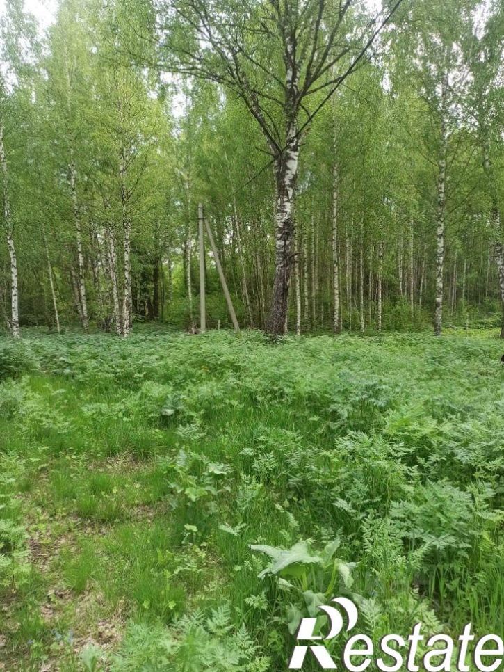 Земельный участок
